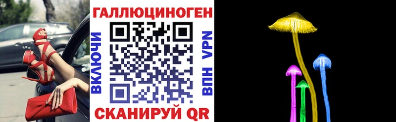 купить наркотик  Ликино-Дулёво  Псилоцибиновые грибы GOLDEN TEACHER 